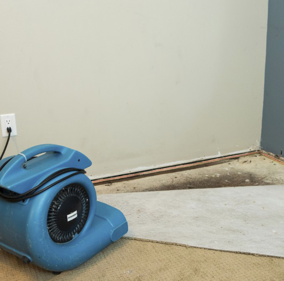 rutubet nasil kurutulur